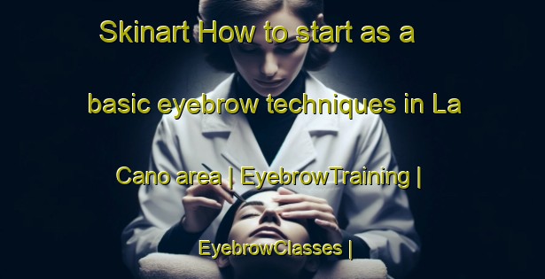 Skinart How to start as a basic eyebrow techniques in La Cano area | EyebrowTraining | EyebrowClasses | SkinartTraining-Mexico